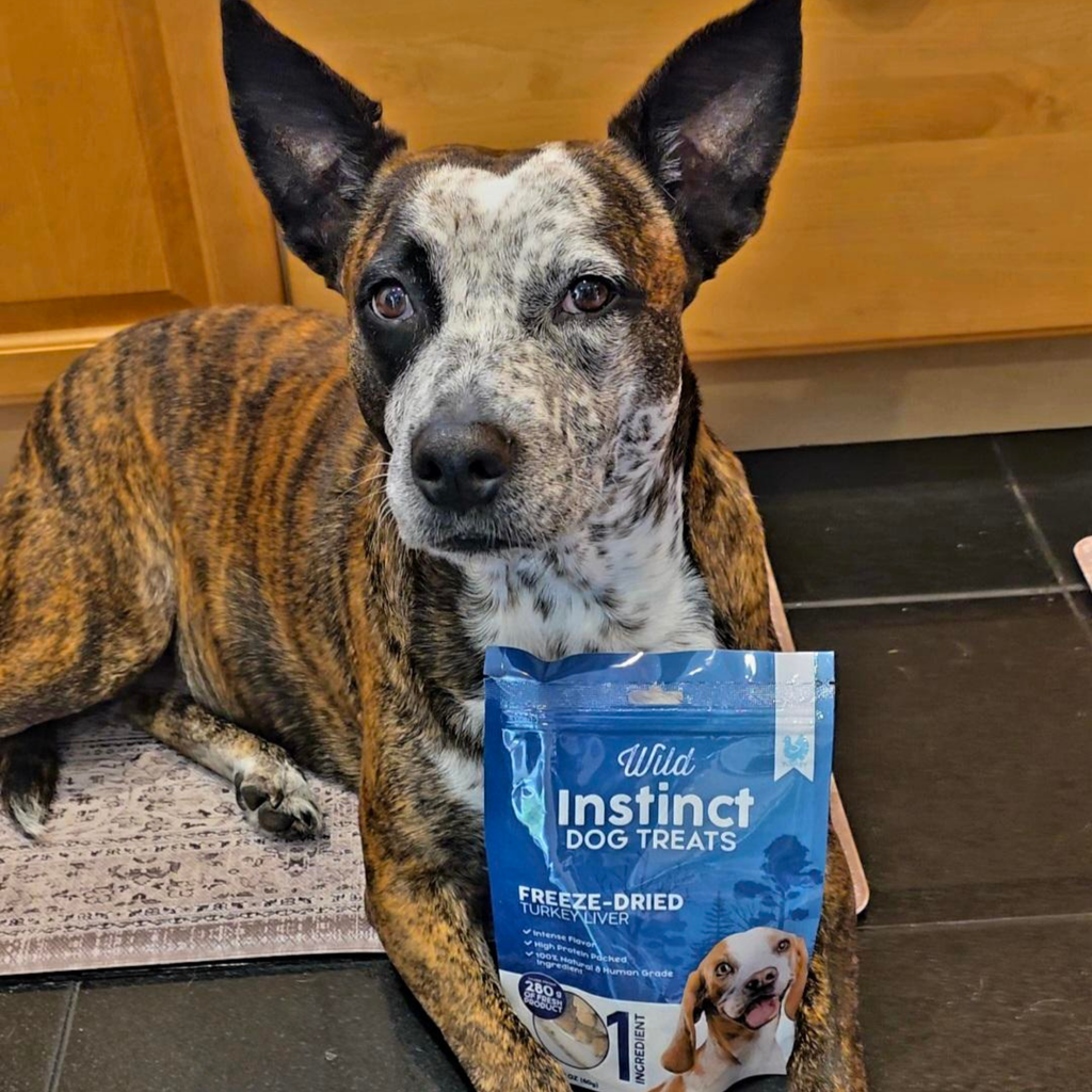 Wild Instinct Freeze-Dried Turkey Liver Treats