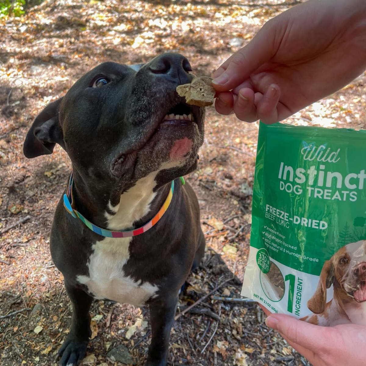 Wild Instinct Freeze-Dried Beef Lung Treats