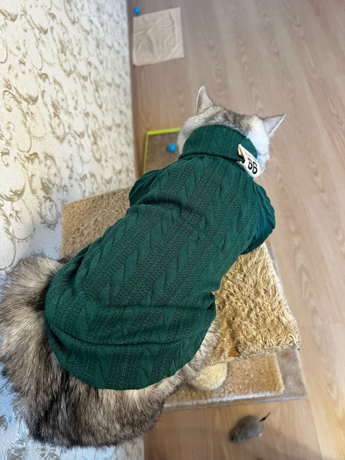Knit Turtleneck Sweater for Small Dogs