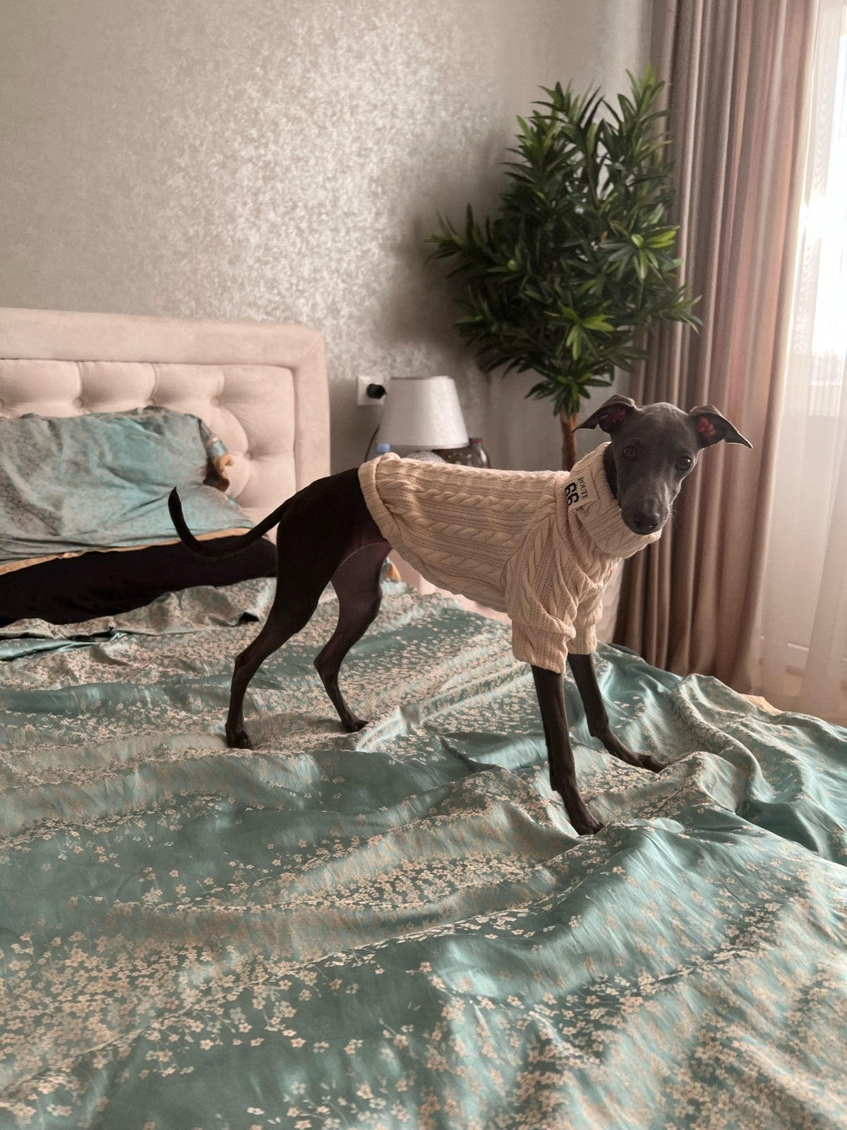 Knit Turtleneck Sweater for Small Dogs