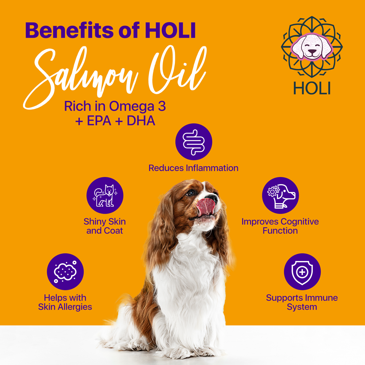HOLI Icelandic Salmon Oil for Dogs