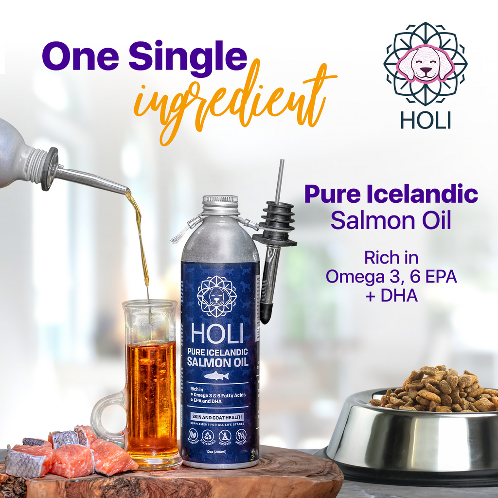 HOLI Icelandic Salmon Oil for Dogs