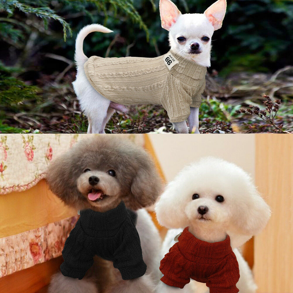 Knit Turtleneck Sweater for Small Dogs