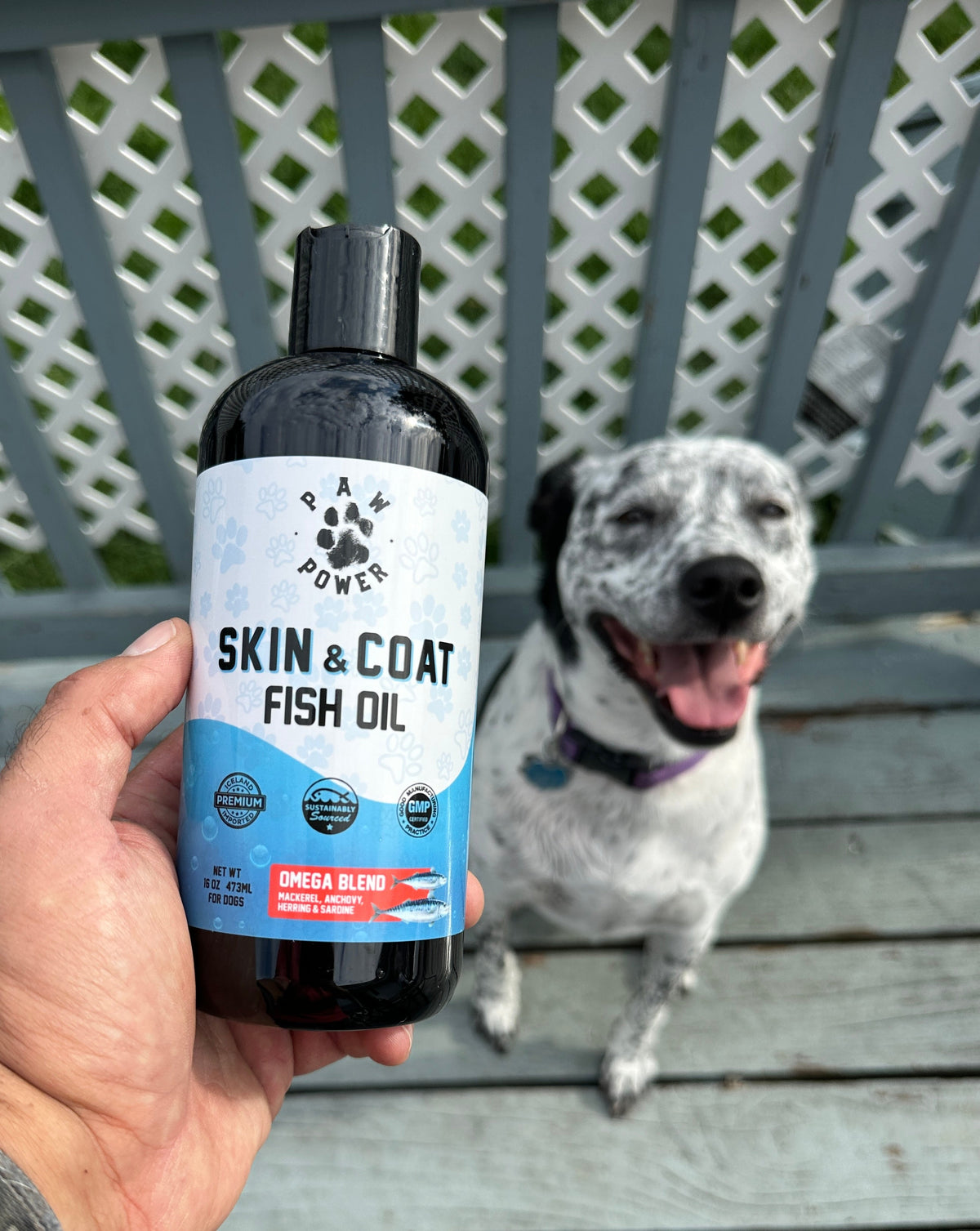 Paw Power Skin & Coat Support Chews for dogs, product photo 2 of 4