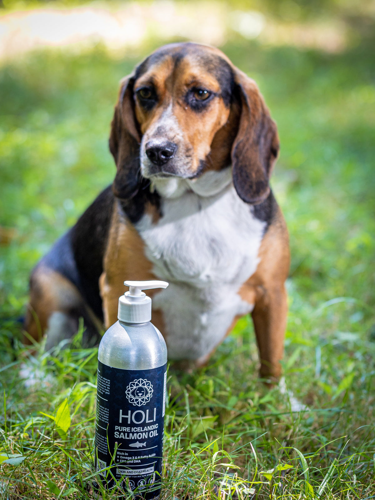HOLI Icelandic Salmon Oil for Dogs