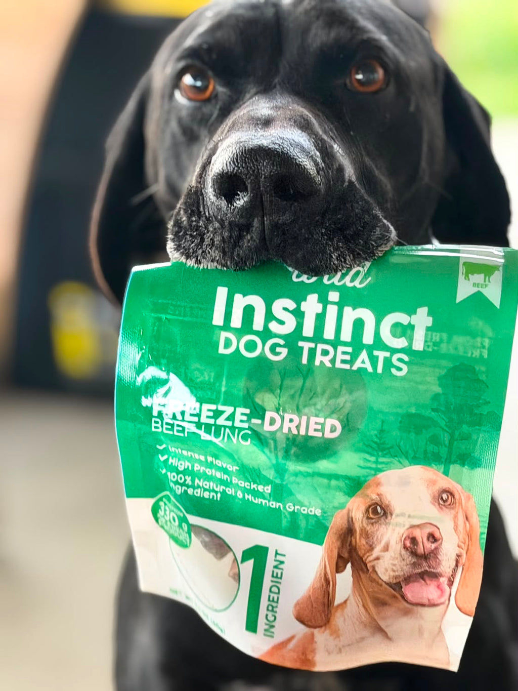 Wild Instinct Freeze-Dried Beef Lung Treats