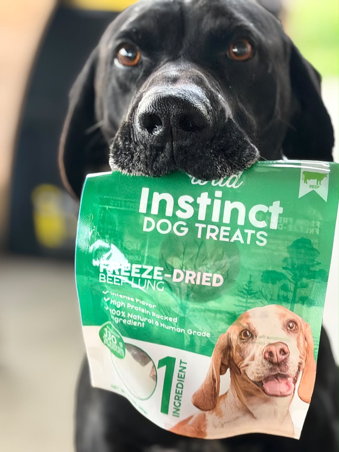 Wild Instinct Freeze-Dried Beef Lung Treats