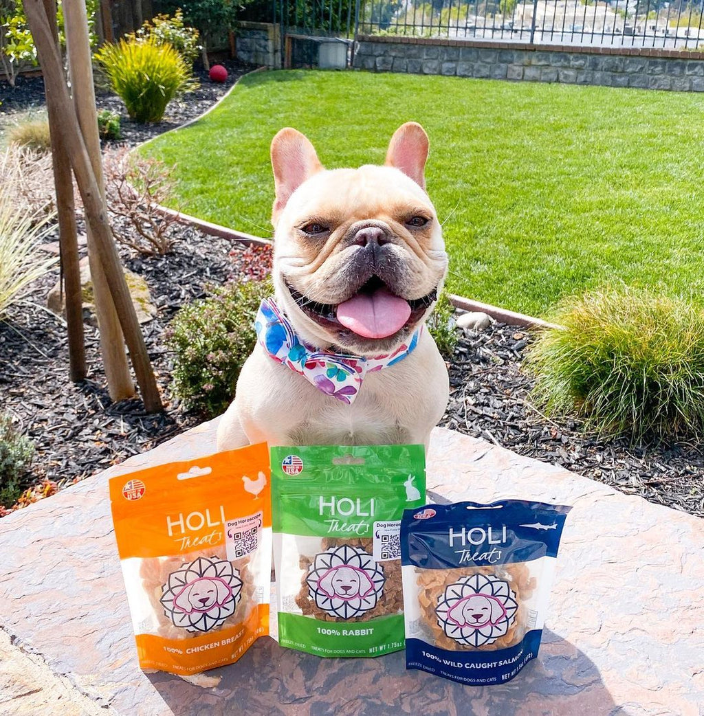 HOLI Freeze-Dried Rabbit Treats