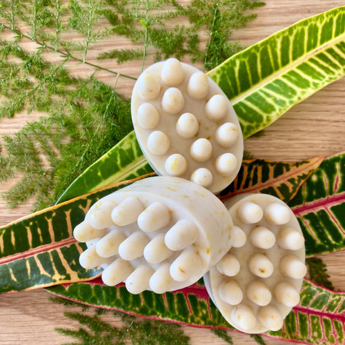 Groom Day Recovery Kit: Sweet ʻŌkole unscented oatmeal shampoo bar