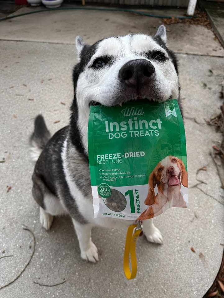 Wild Instinct Freeze-Dried Beef Lung Treats