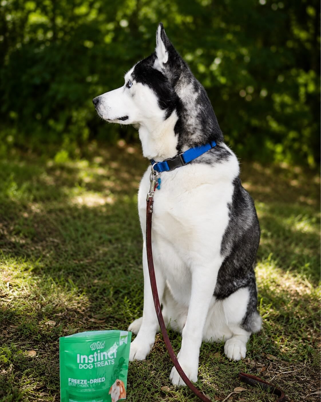 Wild Instinct Freeze-Dried Beef Lung Treats
